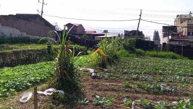 dijual tanah jl jamin ginting sempajaya