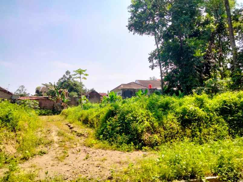 dijual tanah jl kenari jombor kidul