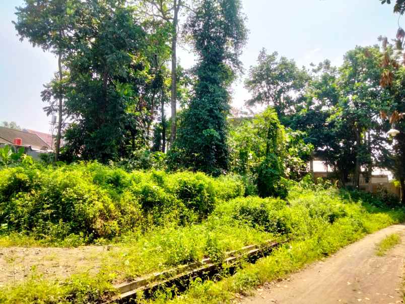 dijual tanah jl kenari jombor kidul