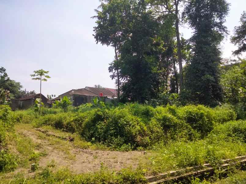 dijual tanah jl kenari jombor kidul