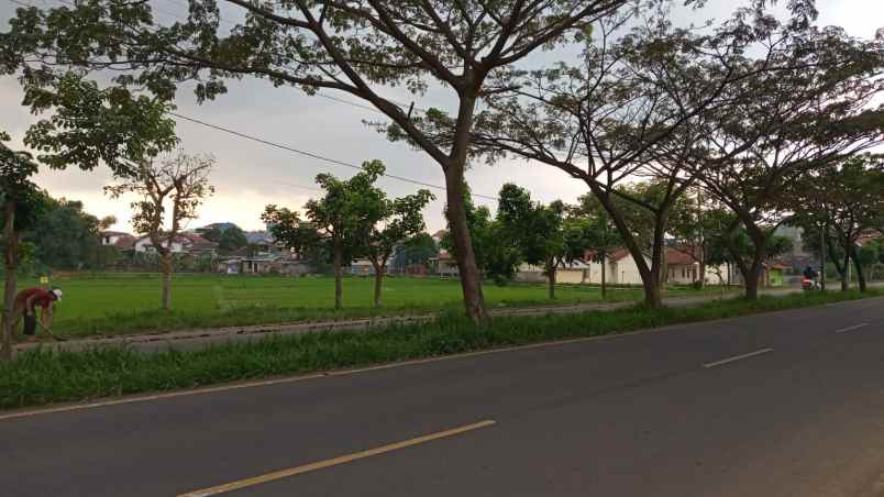 dijual tanah jl lingkar baru