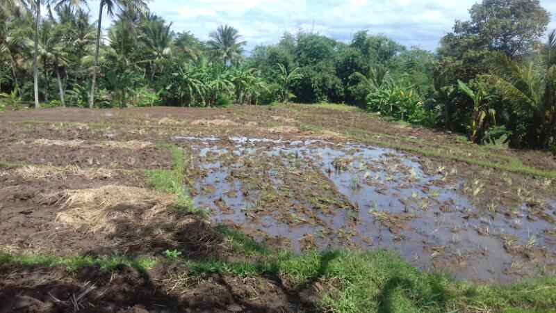 dijual tanah jl lingkar baru