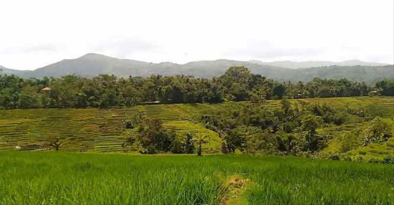 dijual tanah jl raya bandung garut