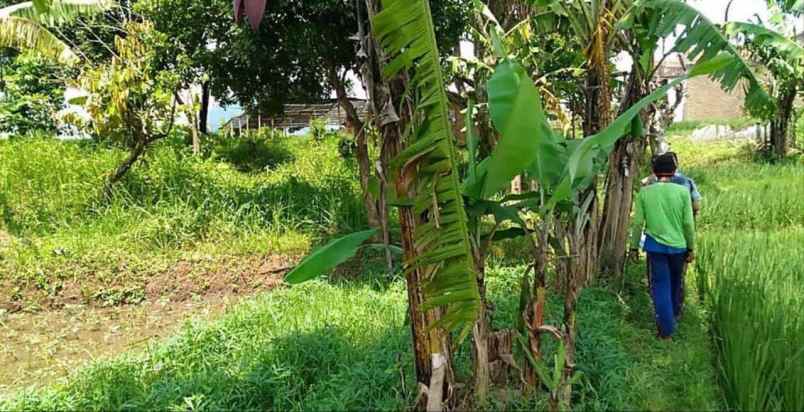 dijual tanah jl raya bandung garut