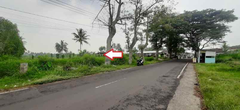 dijual tanah jl raya kedungrejo