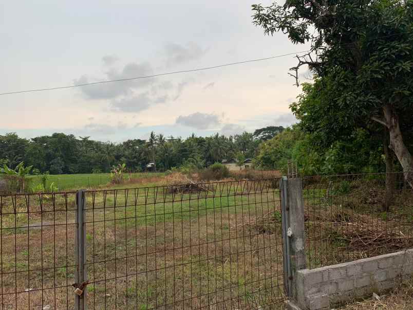 dijual tanah jl wates purworejo no 225