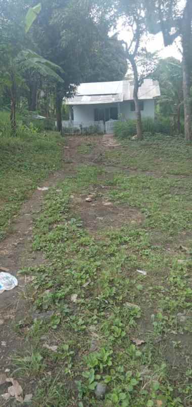 dijual tanah jln nasional iii pamucatan