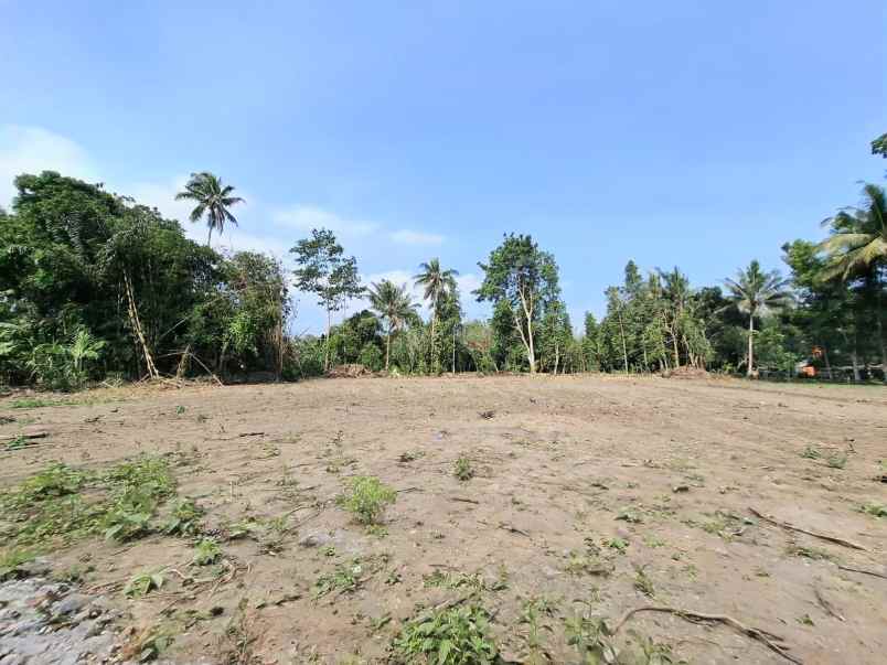 dijual tanah kadisono margorejo tempel