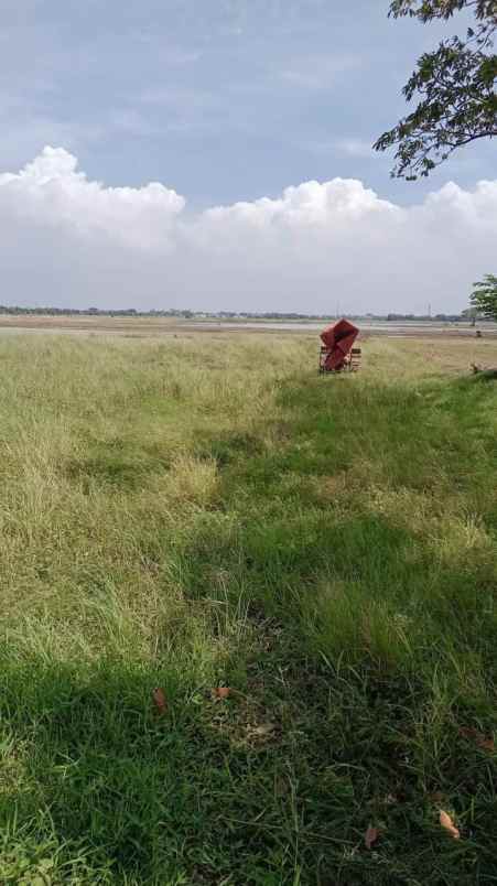 dijual tanah kampung pangkalan desa