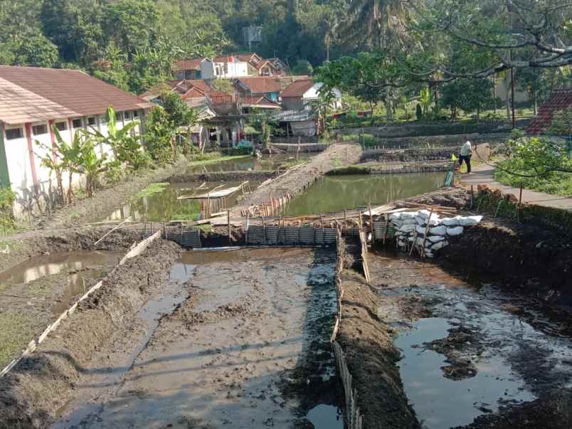 dijual tanah kaveling produktif kolam ikan