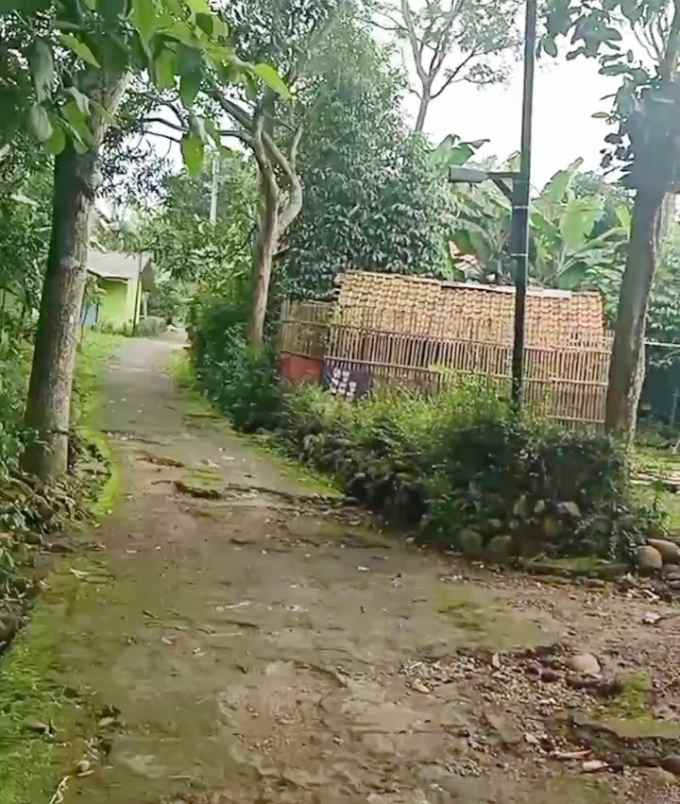 dijual tanah kebun lingkungan penduduk