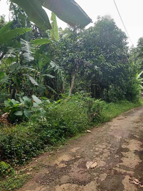 dijual tanah kebun lingkungan penduduk