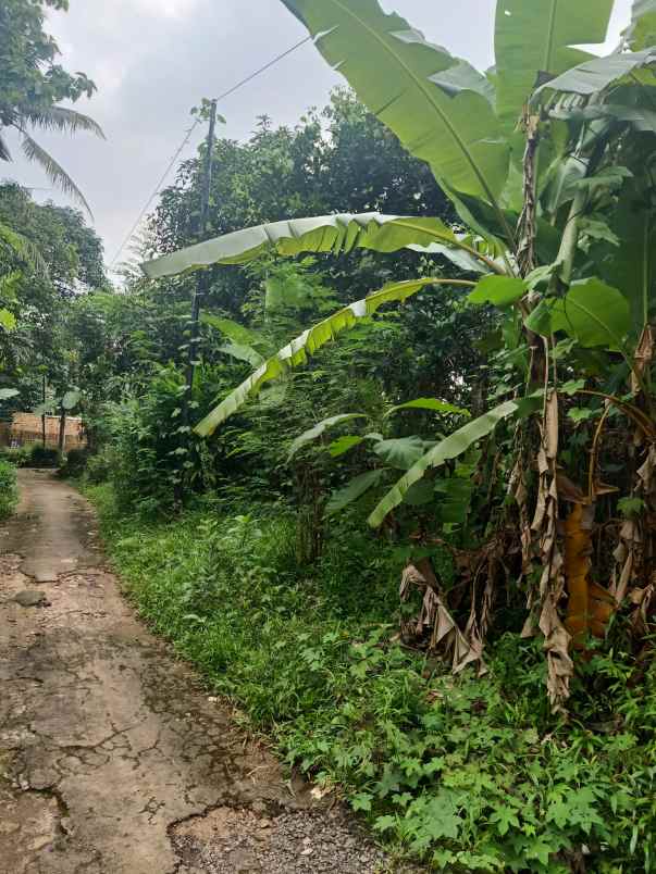 dijual tanah kebun lingkungan penduduk