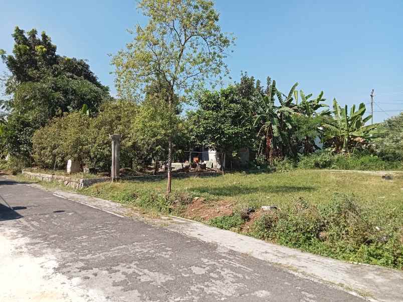 dijual tanah kedawung sragen