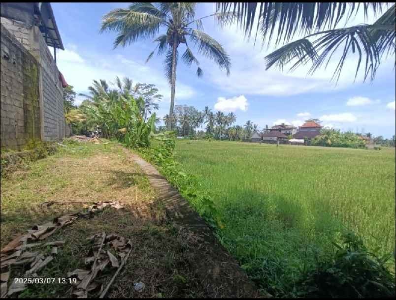 dijual tanah kenderan gianyar bali