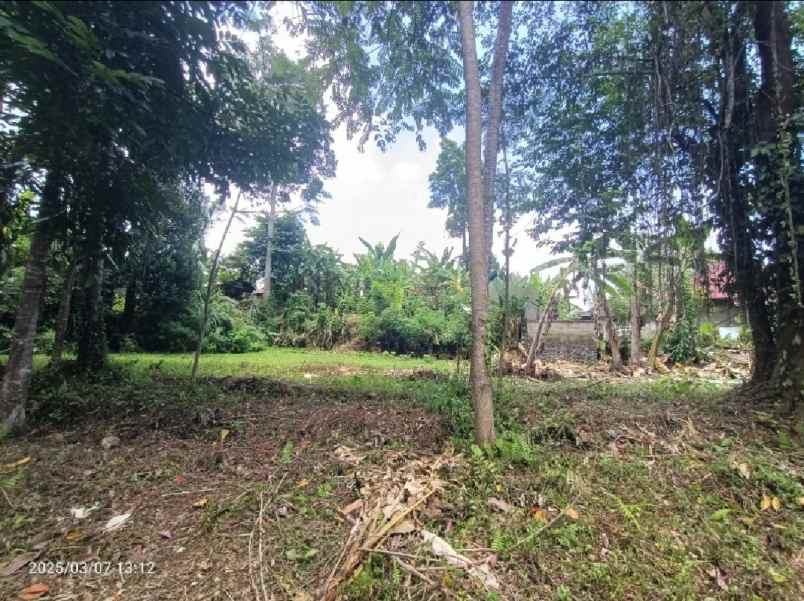 dijual tanah kenderan gianyar bali
