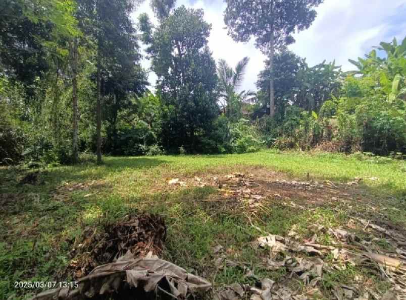 dijual tanah kenderan gianyar bali