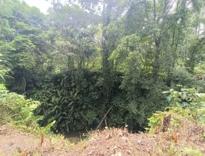 dijual tanah kenderan gianyar bali