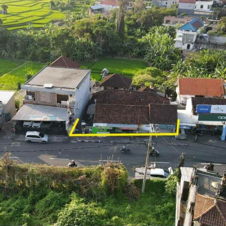 dijual tanah kesiman