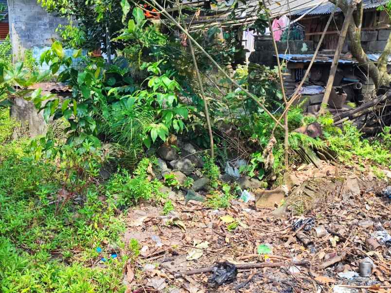 dijual tanah kledoan selomartani kec