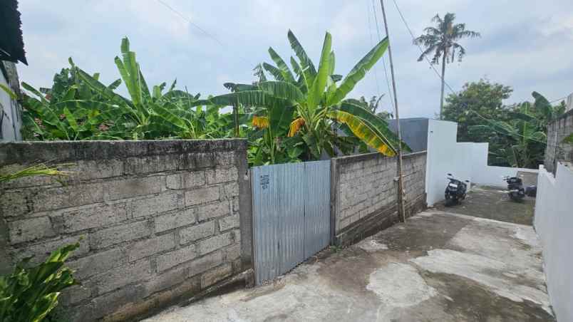 dijual tanah komersil lokasi canggu