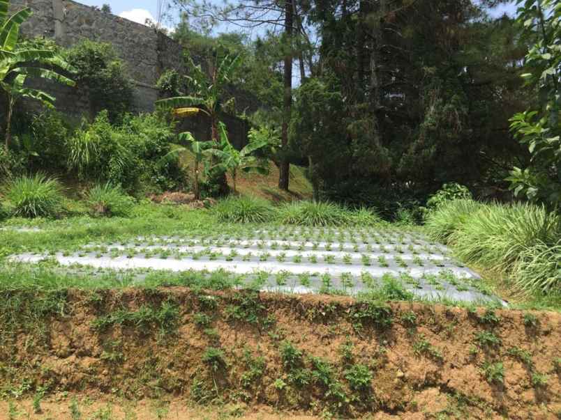 dijual tanah komplek setiabudhi regency