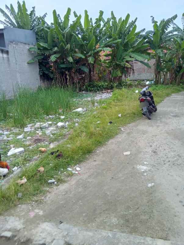 dijual tanah kp wates teluknaga kp