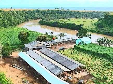 dijual tanah labangka sumbawa