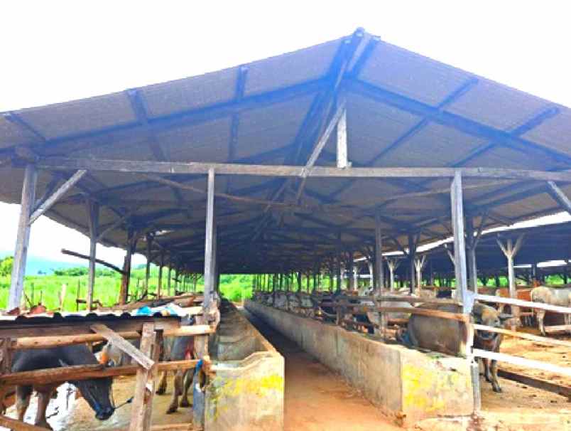 dijual tanah labangka sumbawa