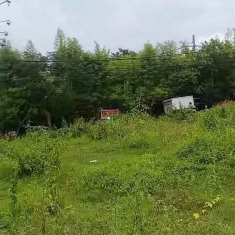 dijual tanah labuansait