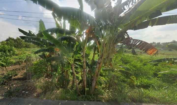 dijual tanah lakardowo