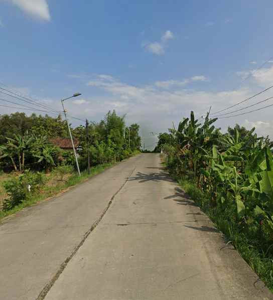 dijual tanah lakardowo