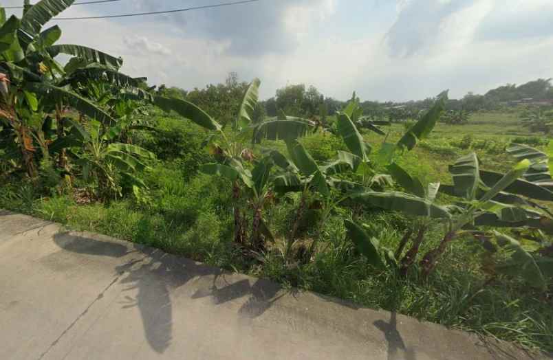 dijual tanah lakardowo