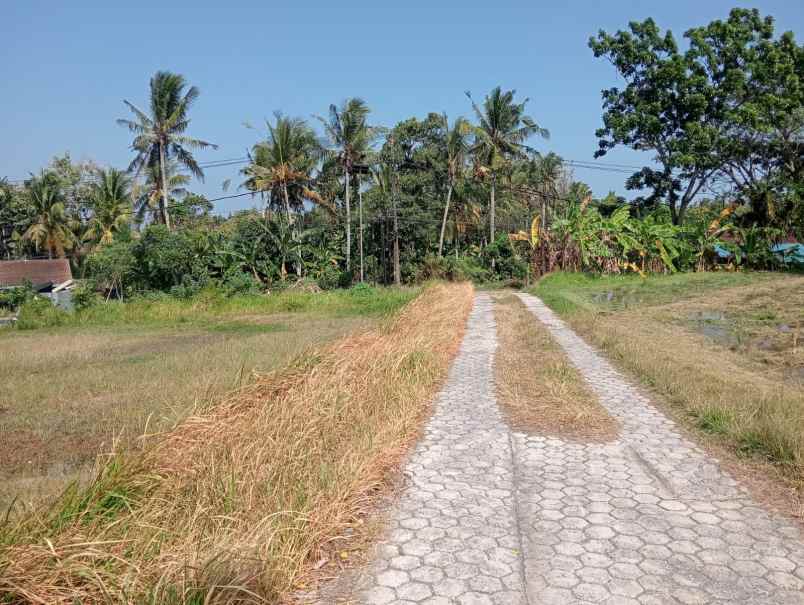 dijual tanah lalanglinggah selemadeg