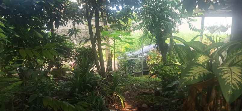 dijual tanah lippo karawaci