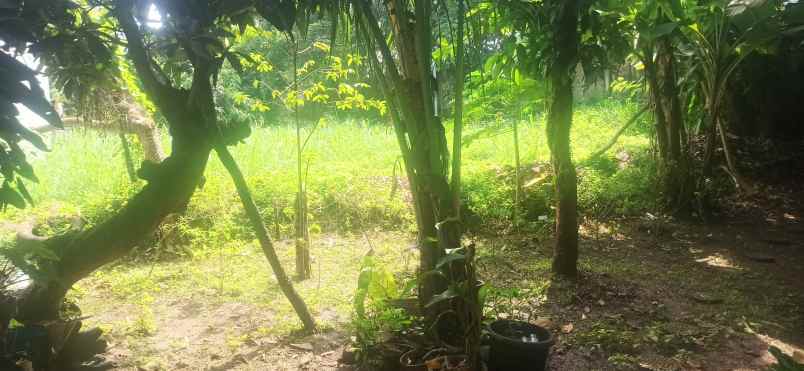 dijual tanah lippo karawaci