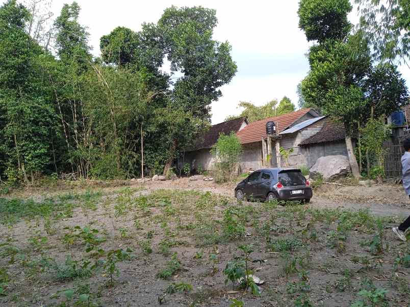 dijual tanah losari sukoharjo