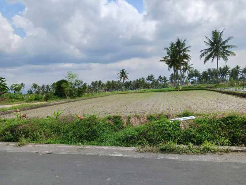 dijual tanah mungkid magelang 10 menit candi borobudur