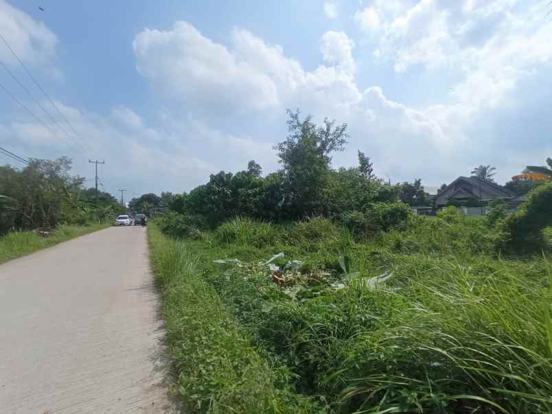 dijual tanah murah untuk usaha lokasi srigading 1