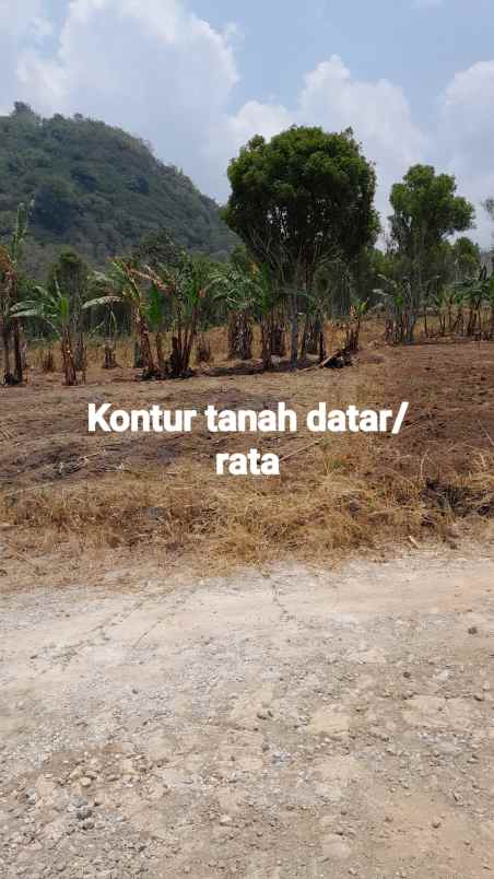 dijual tanah nagreg