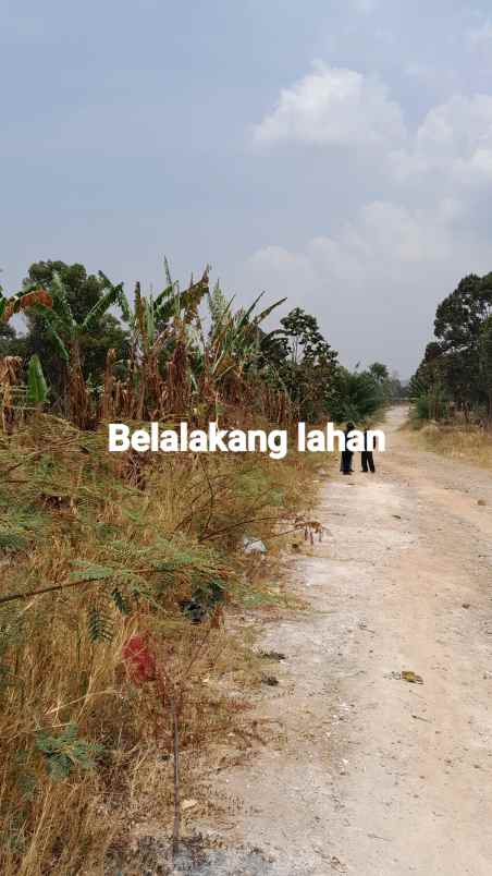 dijual tanah nagreg