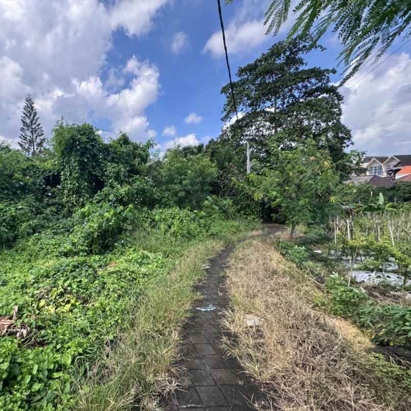 dijual tanah padang tawang