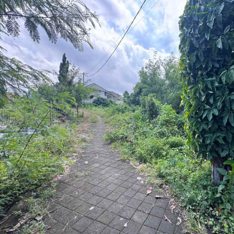 dijual tanah padang tawang