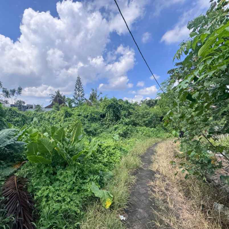 dijual tanah padang tawang