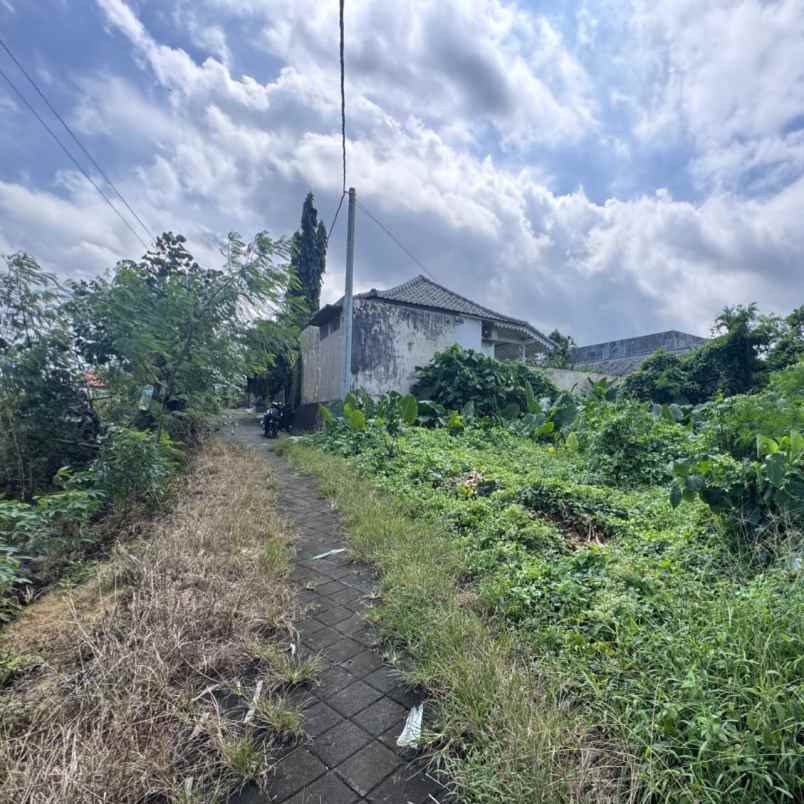 dijual tanah padang tawang