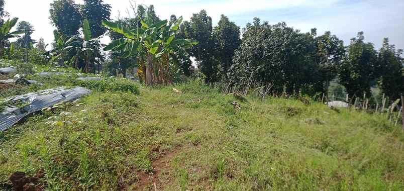 dijual tanah pagermaneuh