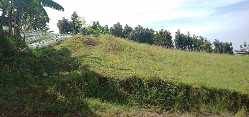 dijual tanah pagermaneuh