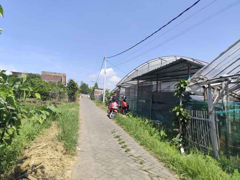 dijual tanah pandanrejo