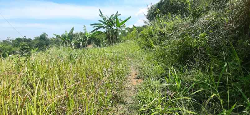 dijual tanah pasir luhur cilengkrang