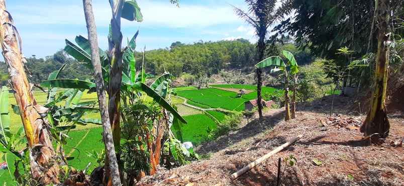 dijual tanah pasir luhur cilengkrang